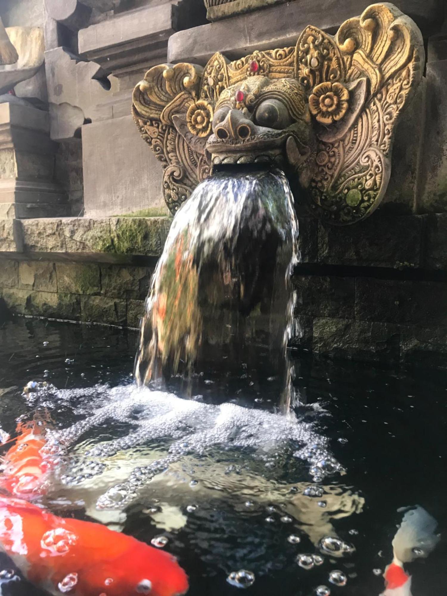 Banana Home Stay Ubud Екстериор снимка